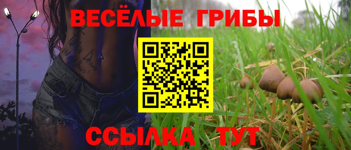 Псилоцибиновые грибы MAGIC MUSHROOMS Ишимбай
